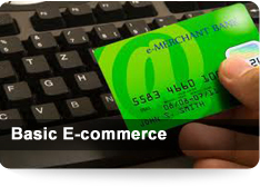 basic ecommerce